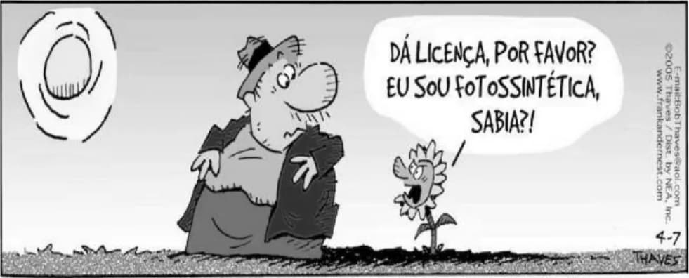 Figura da questão 16