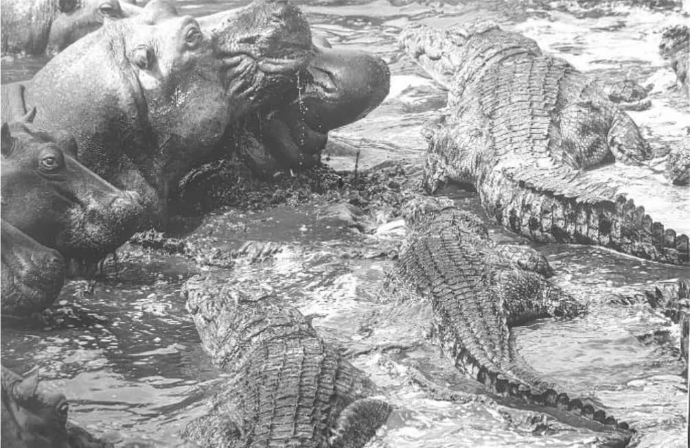 Figura da questão 37