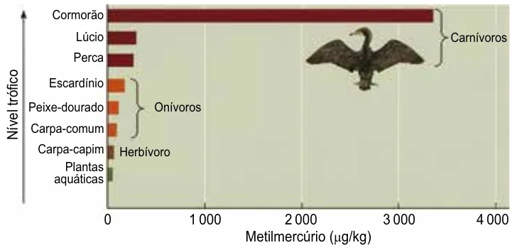 Figura da questão 50