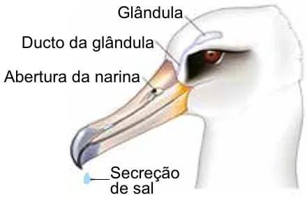 Figura da questão 45